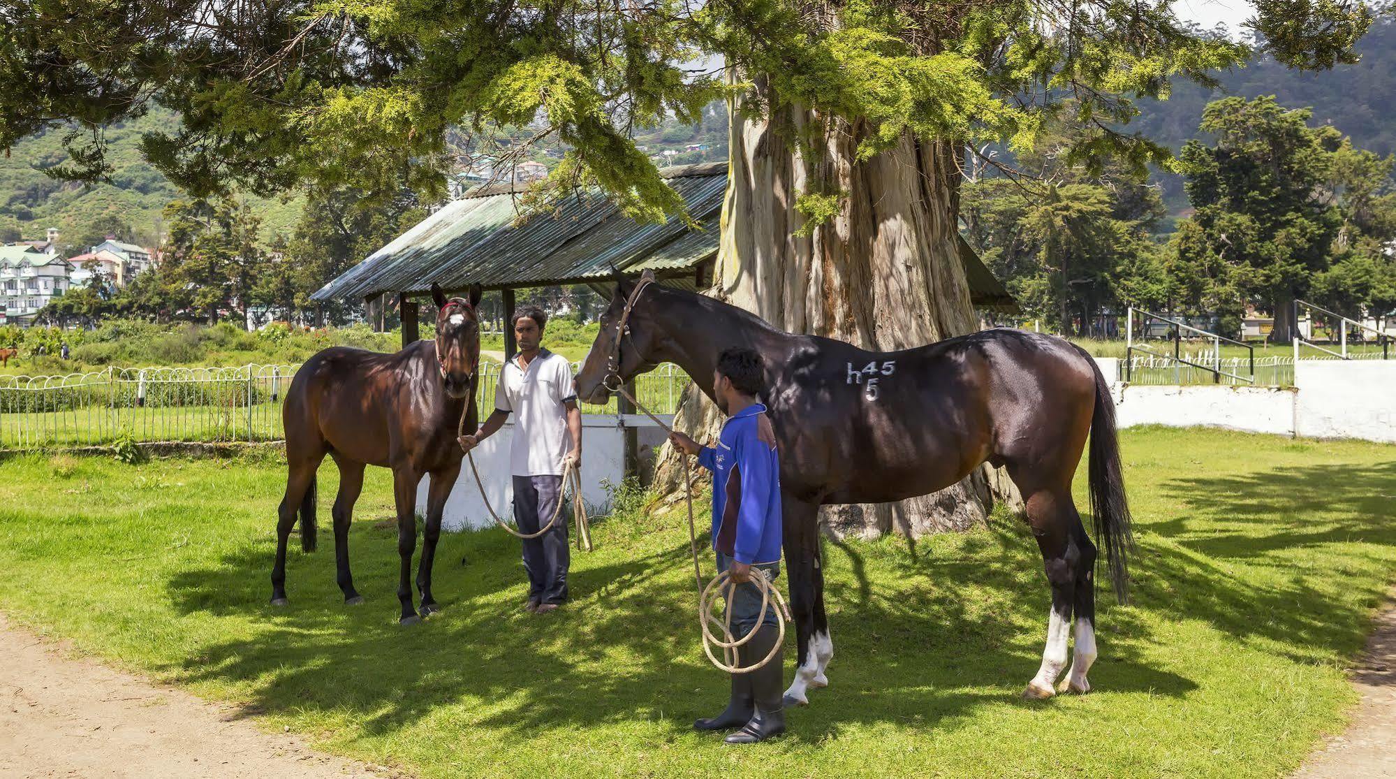 Hill Rise Luxury Villa & Stables By Edwards Collection Nuwara Eliya Kültér fotó